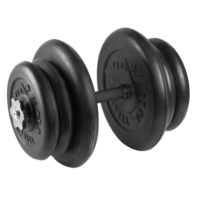 Гантель разборная 42,5 кг TITAN Barbell - d31